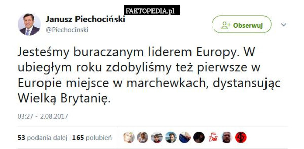 Buraki polska liderem Europy 