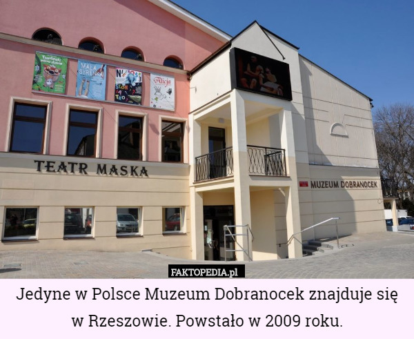Jedyne w Polsce Muzeum Dobranocek znajduje się w Rzeszowie. Powstało w 2009 roku. 