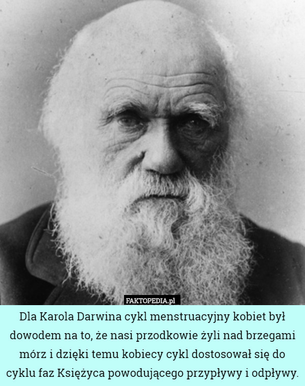 Dla Karola Darwina cykl menstruacyjny kobiet był dowodem na to, że nasi przodkowie żyli nad brzegami mórz i dzięki temu kobiecy cykl dostosował się do cyklu faz Księżyca powodującego przypływy i odpływy. 