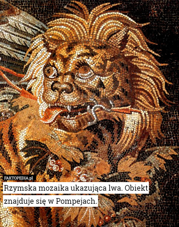 Rzymska mozaika ukazująca lwa. Obiekt znajduje się w Pompejach. 