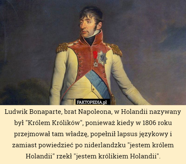 Ludwik Bonaparte, brat Napoleona, w Holandii nazywany był "Królem Królików", ponieważ kiedy w 1806 roku przejmował tam władzę, popełnił lapsus językowy i zamiast powiedzieć po niderlandzku "jestem królem Holandii" rzekł "jestem królikiem Holandii". 