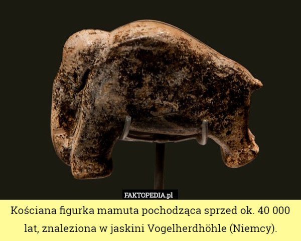 Kościana figurka mamuta pochodząca sprzed ok. 40 000 lat, znaleziona w jaskini Vogelherdhöhle (Niemcy). 