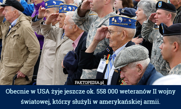 Obecnie w USA żyje jeszcze ok. 558 000 weteranów II wojny światowej, którzy służyli w amerykańskiej armii. 