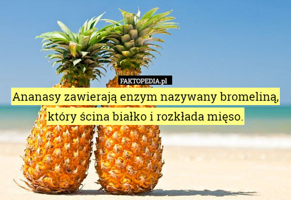Ananasy zawierają enzym nazywany bromeliną, który ścina białko i rozkłada mięso. 