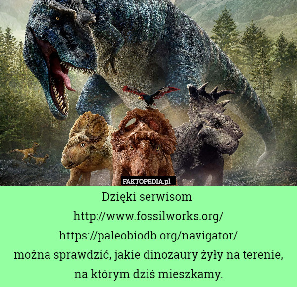 Dzięki serwisom 
http://www.fossilworks.org/
https://paleobiodb.org/navigator/
można sprawdzić, jakie dinozaury żyły na terenie,
 na którym dziś mieszkamy. 