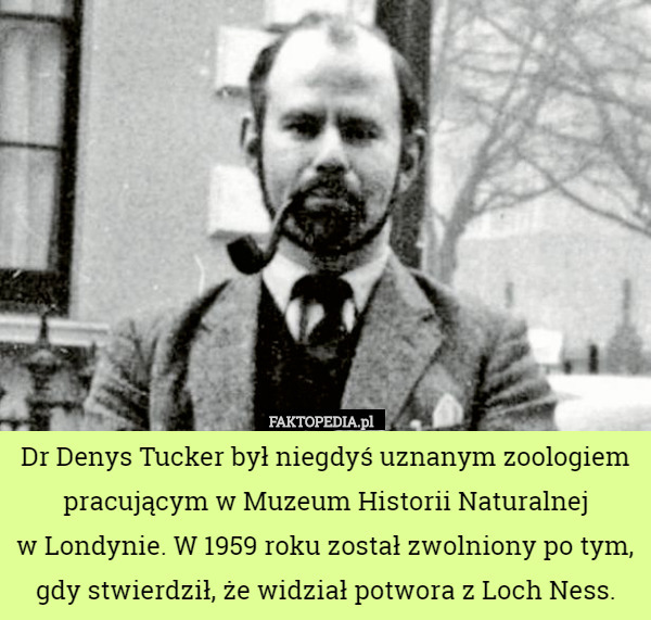 Dr Denys Tucker był niegdyś uznanym zoologiem pracującym w Muzeum Historii Naturalnej
w Londynie. W 1959 roku został zwolniony po tym, gdy stwierdził, że widział potwora z Loch Ness. 