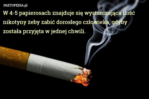 W 4-5 papierosach znajduje się wystarczająca ilość nikotyny żeby zabić dorosłego człowieka, gdyby została przyjęta w jednej chwili. 