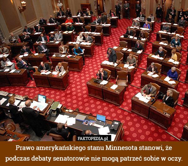 Prawo amerykańskiego stanu Minnesota stanowi, że podczas debaty senatorowie nie mogą patrzeć sobie w oczy. 