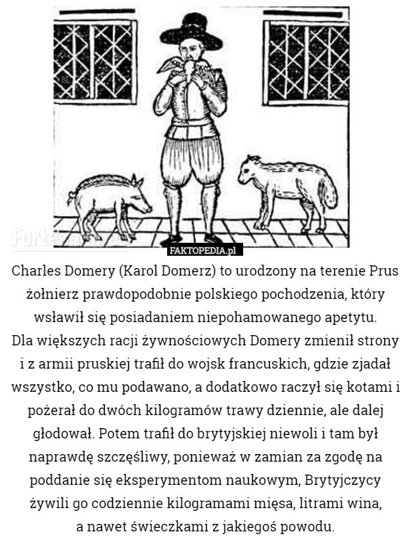Charles Domery (Karol Domerz) to urodzony na terenie Prus żołnierz prawdopodobnie polskiego pochodzenia, który wsławił się posiadaniem niepohamowanego apetytu.
 Dla większych racji żywnościowych Domery zmienił strony i z armii pruskiej trafił do wojsk francuskich, gdzie zjadał wszystko, co mu podawano, a dodatkowo raczył się kotami i pożerał do dwóch kilogramów trawy dziennie, ale dalej głodował. Potem trafił do brytyjskiej niewoli i tam był naprawdę szczęśliwy, ponieważ w zamian za zgodę na poddanie się eksperymentom naukowym, Brytyjczycy żywili go codziennie kilogramami mięsa, litrami wina,
 a nawet świeczkami z jakiegoś powodu. 