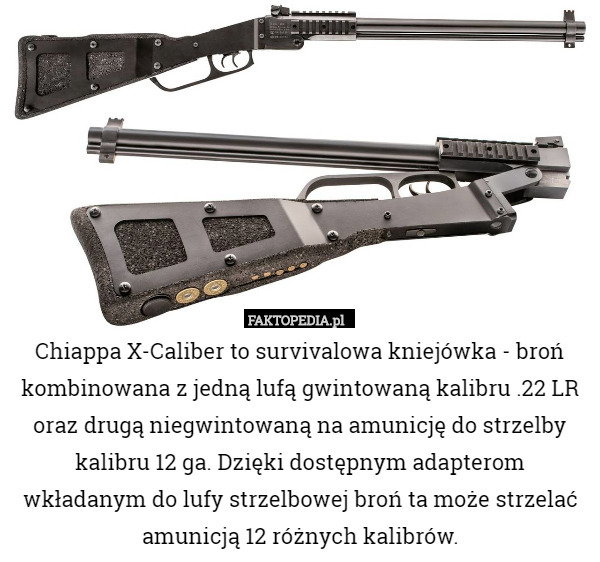 Chiappa X-Caliber to survivalowa kniejówka - broń kombinowana z jedną lufą gwintowaną kalibru .22 LR oraz drugą niegwintowaną na amunicję do strzelby kalibru 12 ga. Dzięki dostępnym adapterom wkładanym do lufy strzelbowej broń ta może strzelać amunicją 12 różnych kalibrów. 