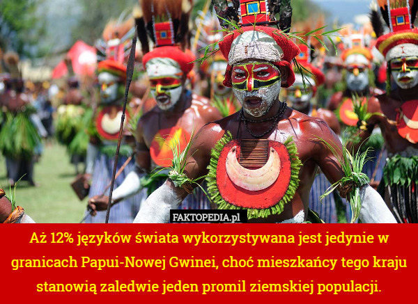 Aż 12% języków świata wykorzystywana jest jedynie w granicach Papui-Nowej Gwinei, choć mieszkańcy tego kraju stanowią zaledwie jeden promil ziemskiej populacji. 