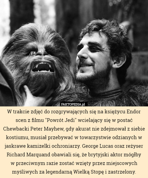 W trakcie zdjęć do rozgrywających się na księżycu Endor scen z filmu "Powrót Jedi" wcielający się w postać Chewbacki Peter Mayhew, gdy akurat nie zdejmował z siebie kostiumu, musiał przebywać w towarzystwie odzianych w jaskrawe kamizelki ochroniarzy. George Lucas oraz reżyser Richard Marquand obawiali się, że brytyjski aktor mógłby
 w przeciwnym razie zostać wzięty przez miejscowych myśliwych za legendarną Wielką Stopę i zastrzelony. 