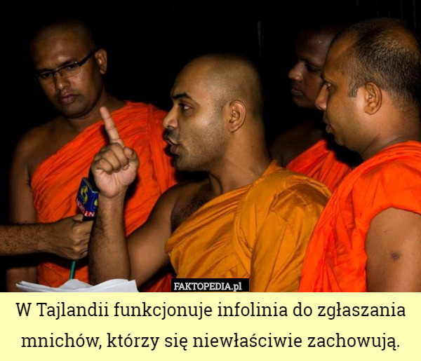 W Tajlandii funkcjonuje infolinia do zgłaszania mnichów, którzy się niewłaściwie zachowują. 
