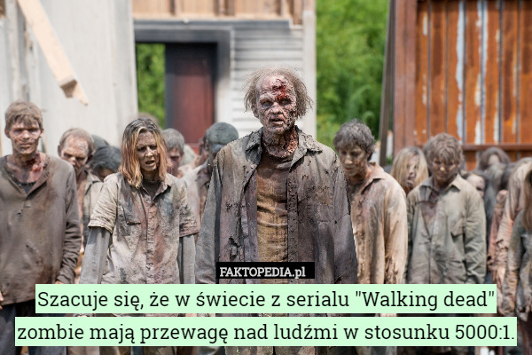 Szacuje się, że w świecie z serialu "Walking dead" zombie mają przewagę nad ludźmi w stosunku 5000:1. 