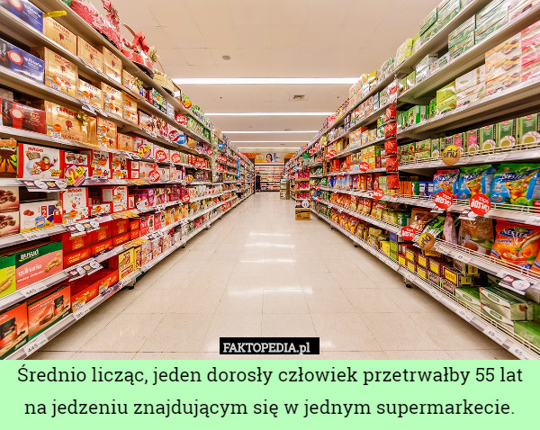 Średnio licząc, jeden dorosły człowiek przetrwałby 55 lat na jedzeniu znajdującym się w jednym supermarkecie. 