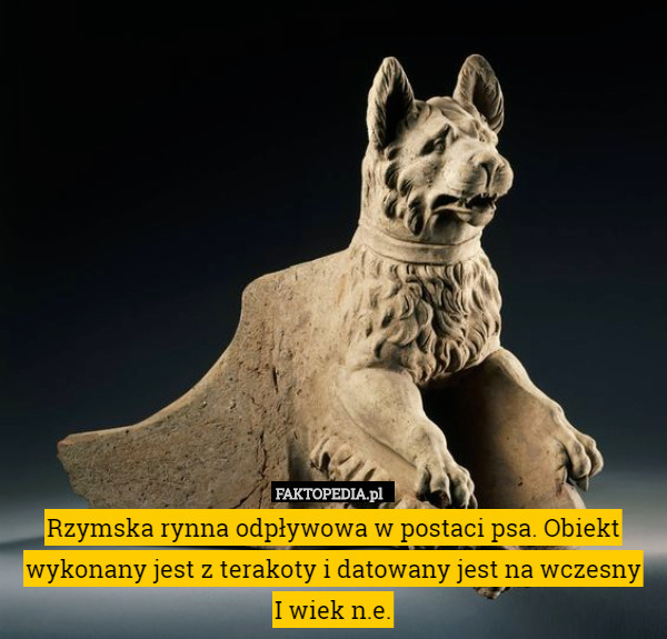 Rzymska rynna odpływowa w postaci psa. Obiekt wykonany jest z terakoty i datowany jest na wczesny
I wiek n.e. 
