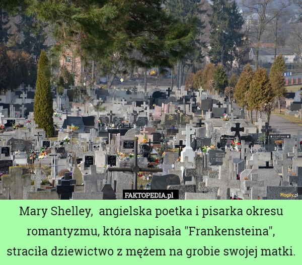 Mary Shelley,  angielska poetka i pisarka okresu romantyzmu, która napisała "Frankensteina", straciła dziewictwo z mężem na grobie swojej matki. 
