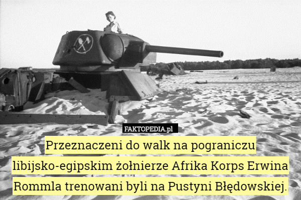 Przeznaczeni do walk na pograniczu libijsko-egipskim żołnierze Afrika Korps Erwina Rommla trenowani byli na Pustyni Błędowskiej. 