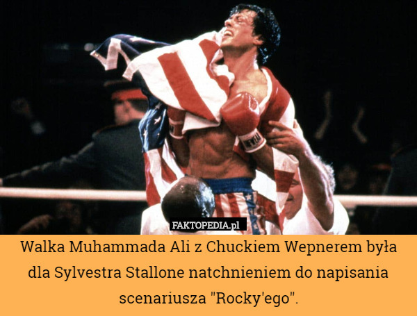 Walka Muhammada Ali z Chuckiem Wepnerem była dla Sylvestra Stallone natchnieniem do napisania scenariusza "Rocky'ego". 