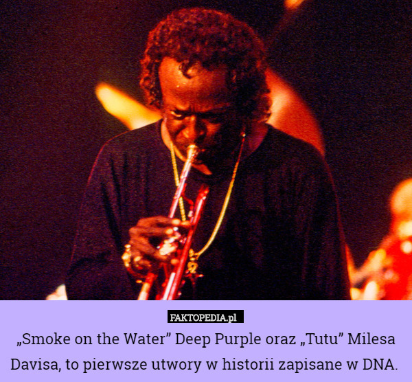 „Smoke on the Water” Deep Purple oraz „Tutu” Milesa Davisa, to pierwsze utwory w historii zapisane w DNA. 