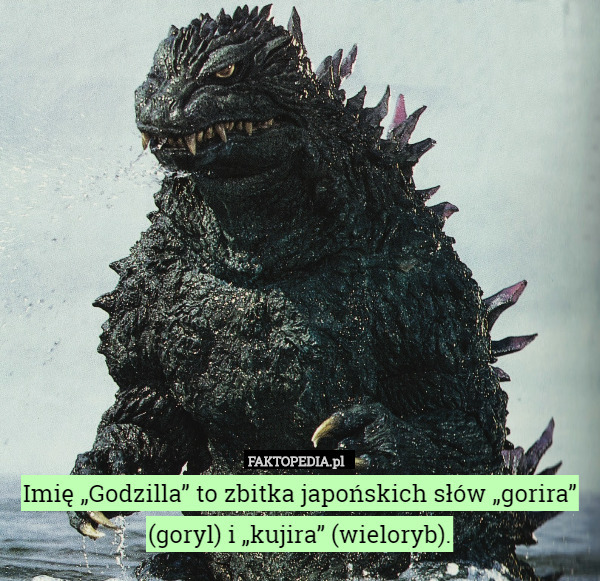 Imię „Godzilla” to zbitka japońskich słów „gorira” (goryl) i „kujira” (wieloryb). 