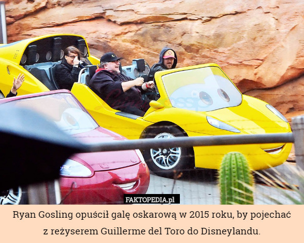 Ryan Gosling opuścił galę oskarową w 2015 roku, by pojechać
z reżyserem Guillerme del Toro do Disneylandu. 