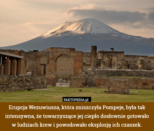 Erupcja Wezuwiusza, która zniszczyła Pompeje, była tak intensywna, że towarzyszące jej ciepło dosłownie gotowało w ludziach krew i powodowało eksplozję ich czaszek. 