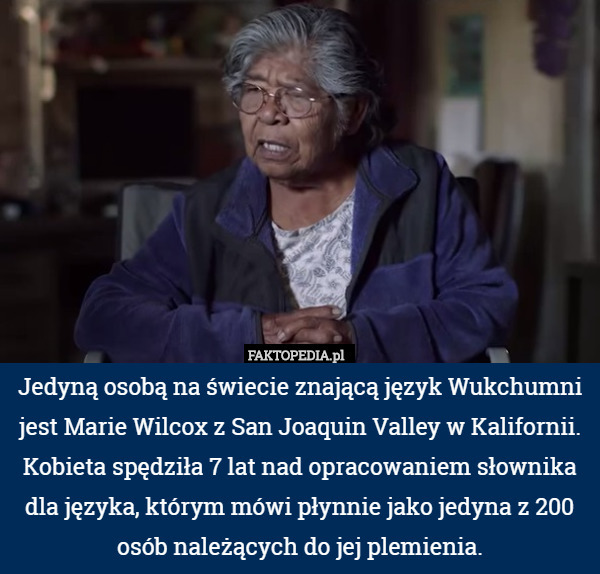 Jedyną osobą na świecie znającą język Wukchumni jest Marie Wilcox z San Joaquin Valley w Kalifornii. Kobieta spędziła 7 lat nad opracowaniem słownika dla języka, którym mówi płynnie jako jedyna z 200 osób należących do jej plemienia. 