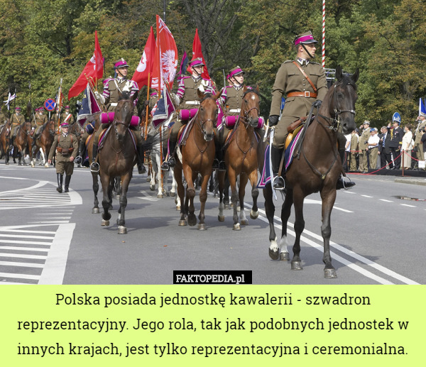 Polska posiada jednostkę kawalerii - szwadron reprezentacyjny. Jego rola, tak jak podobnych jednostek w innych krajach, jest tylko reprezentacyjna i ceremonialna. 