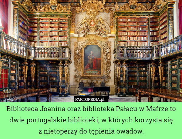 Biblioteca Joanina oraz biblioteka Pałacu w Mafrze to dwie portugalskie biblioteki, w których korzysta się
z nietoperzy do tępienia owadów. 