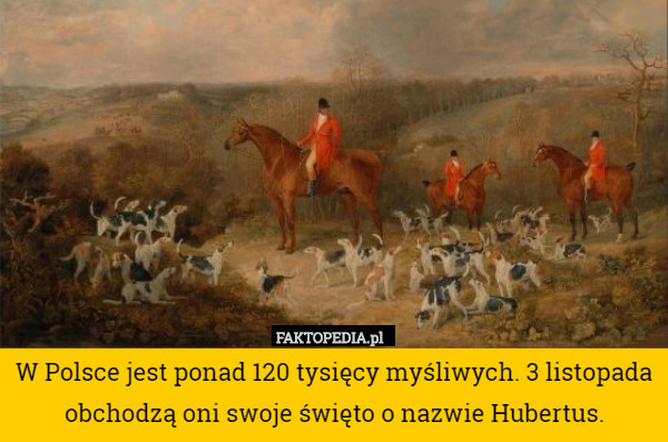 W Polsce jest ponad 120 tysięcy myśliwych. 3 listopada obchodzą oni swoje święto o nazwie Hubertus. 