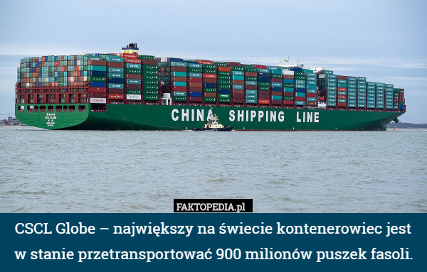 CSCL Globe – największy na świecie kontenerowiec jest w stanie przetransportować 900 milionów puszek fasoli. 