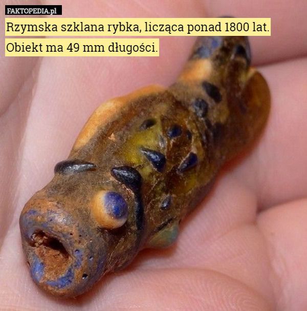 Rzymska szklana rybka, licząca ponad 1800 lat. Obiekt ma 49 mm długości. 