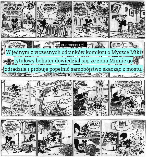 W jednym z wczesnych odcinków komiksu o Myszce Miki tytułowy bohater dowiedział się, że żona Minnie go zdradziła i próbuje popełnić samobójstwo skacząc z mostu. 