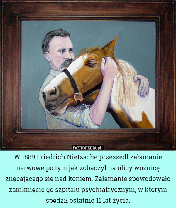 W 1889 Friedrich Nietzsche przeszedł załamanie nerwowe po tym jak zobaczył na ulicy woźnicę znęcającego się nad koniem. Załamanie spowodowało zamknięcie go szpitalu psychiatrycznym, w którym spędził ostatnie 11 lat życia. 