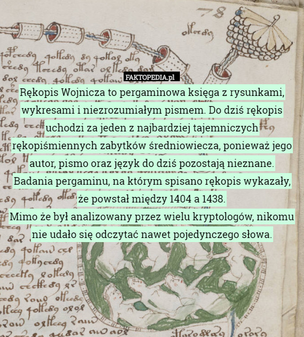 Rękopis Wojnicza to pergaminowa księga z rysunkami, wykresami i niezrozumiałym pismem. Do dziś rękopis uchodzi za jeden z najbardziej tajemniczych rękopiśmiennych zabytków średniowiecza, ponieważ jego autor, pismo oraz język do dziś pozostają nieznane.
Badania pergaminu, na którym spisano rękopis wykazały,
 że powstał między 1404 a 1438.
Mimo że był analizowany przez wielu kryptologów, nikomu nie udało się odczytać nawet pojedynczego słowa. 