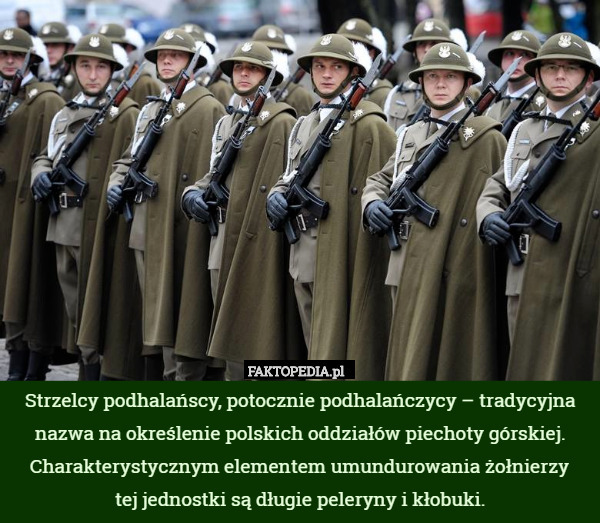 Strzelcy podhalańscy, potocznie podhalańczycy – tradycyjna nazwa na określenie polskich oddziałów piechoty górskiej. Charakterystycznym elementem umundurowania żołnierzy
 tej jednostki są długie peleryny i kłobuki. 