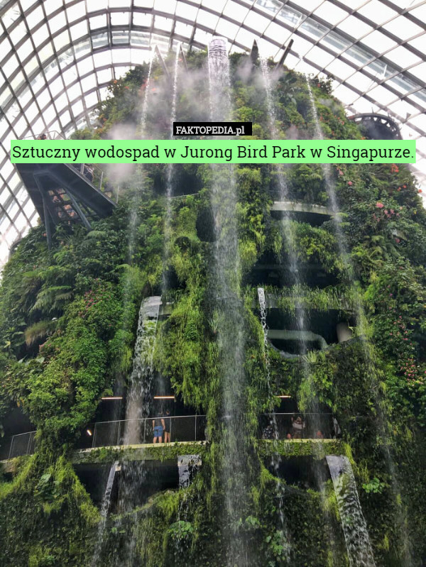 Sztuczny wodospad w Jurong Bird Park w Singapurze. 