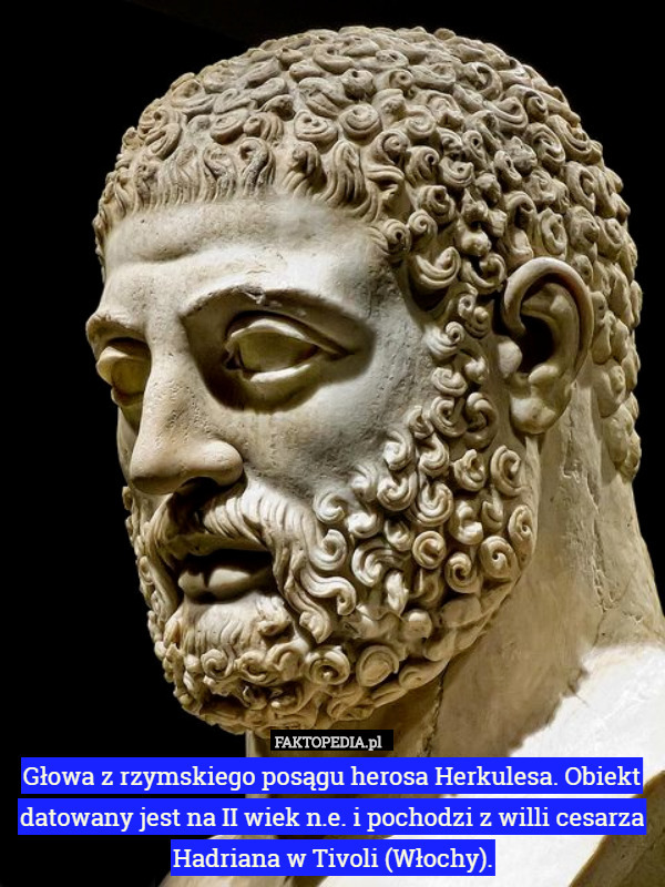Głowa z rzymskiego posągu herosa Herkulesa. Obiekt datowany jest na II wiek n.e. i pochodzi z willi cesarza Hadriana w Tivoli (Włochy). 