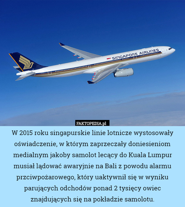 W 2015 roku singapurskie linie lotnicze wystosowały oświadczenie, w którym zaprzeczały doniesieniom medialnym jakoby samolot lecący do Kuala Lumpur musiał lądować awaryjnie na Bali z powodu alarmu przciwpożarowego, który uaktywnił się w wyniku parujących odchodów ponad 2 tysięcy owiec znajdujących się na pokładzie samolotu. 