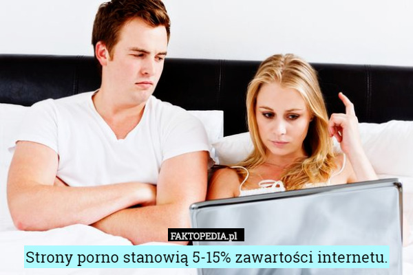Strony porno stanowią 5-15% zawartości internetu. 