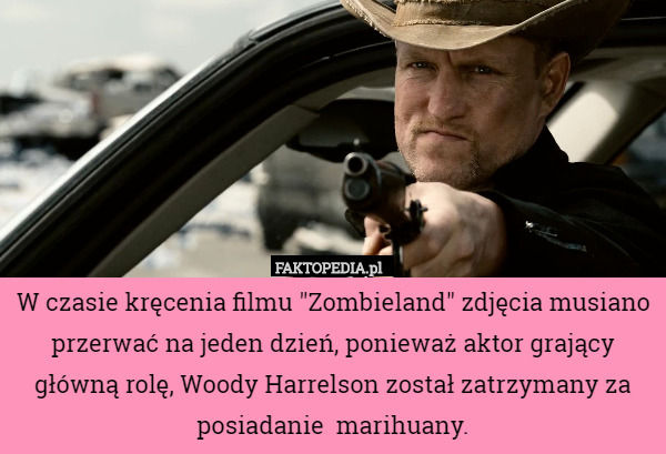 W czasie kręcenia filmu "Zombieland" zdjęcia musiano przerwać na jeden dzień, ponieważ aktor grający główną rolę, Woody Harrelson został zatrzymany za posiadanie  marihuany. 