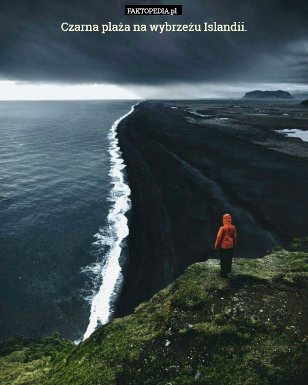 Czarna plaża na wybrzeżu Islandii. 