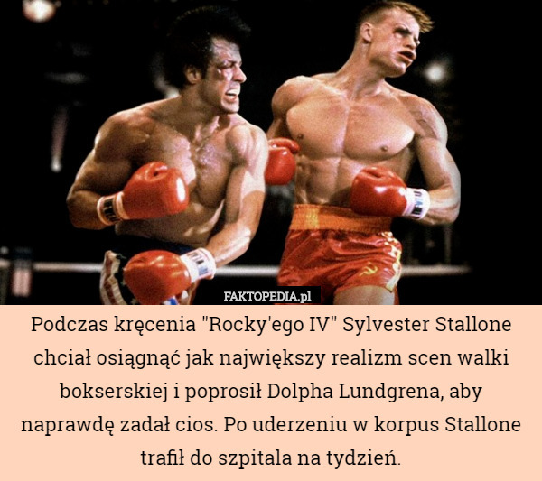 Podczas kręcenia "Rocky'ego IV" Sylvester Stallone chciał osiągnąć jak największy realizm scen walki bokserskiej i poprosił Dolpha Lundgrena, aby naprawdę zadał cios. Po uderzeniu w korpus Stallone trafił do szpitala na tydzień. 