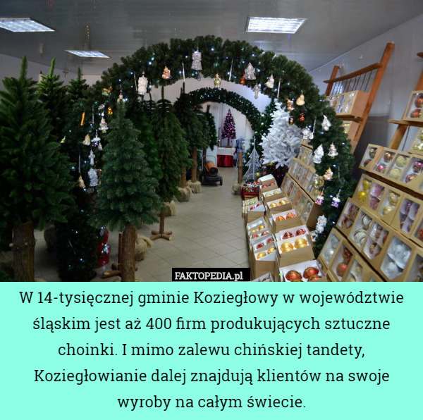 W 14-tysięcznej gminie Koziegłowy w województwie śląskim jest aż 400 firm produkujących sztuczne choinki. I mimo zalewu chińskiej tandety, Koziegłowianie dalej znajdują klientów na swoje wyroby na całym świecie. 