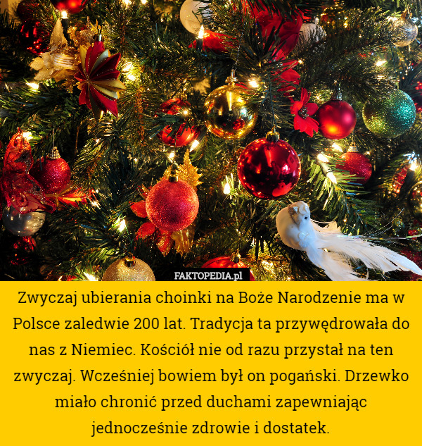 Zwyczaj ubierania choinki na Boże Narodzenie ma w Polsce zaledwie 200 lat. Tradycja ta przywędrowała do nas z Niemiec. Kościół nie od razu przystał na ten zwyczaj. Wcześniej bowiem był on pogański. Drzewko miało chronić przed duchami zapewniając jednocześnie zdrowie i dostatek. 