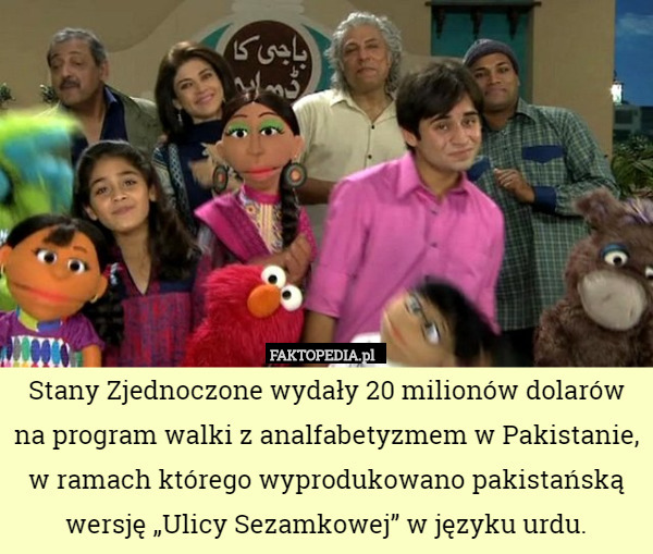 Stany Zjednoczone wydały 20 milionów dolarów na program walki z analfabetyzmem w Pakistanie,
 w ramach którego wyprodukowano pakistańską wersję „Ulicy Sezamkowej” w języku urdu. 