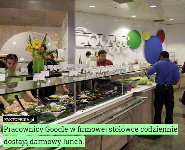Pracownicy Google w firmowej stołówce codziennie dostają darmowy lunch. 