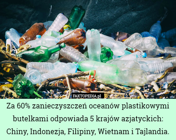 Za 60% zanieczyszczeń oceanów plastikowymi butelkami odpowiada 5 krajów azjatyckich: Chiny, Indonezja, Filipiny, Wietnam i Tajlandia. 
