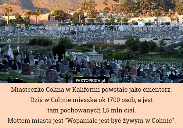 Miasteczko Colma w Kalifornii powstało jako cmentarz.
Dziś w Colmie mieszka ok 1700 osób, a jest
tam pochowanych 1,5 mln ciał.
Mottem miasta jest "Wspaniale jest być żywym w Colmie". 